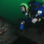 Diver at the Lings