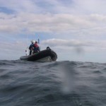 Oisre picking up Divers