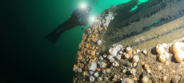 videographer on the Boiler of the Aud