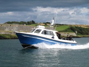 Domino returns to Kinsale with Divers