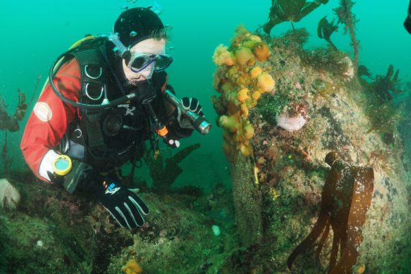 OLYMPUS DIGITAL CAMERA diver on reef