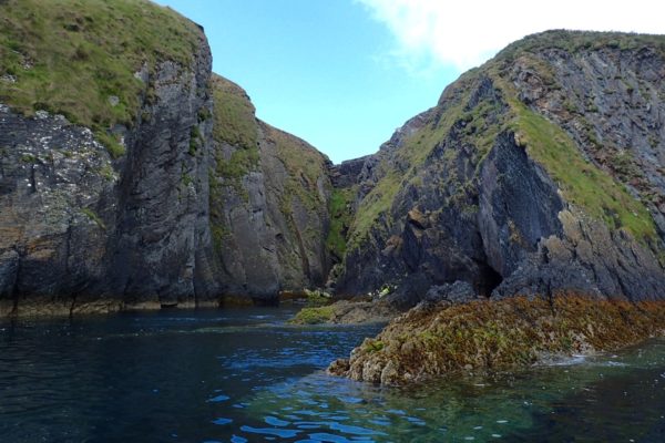 Black Head Black Head