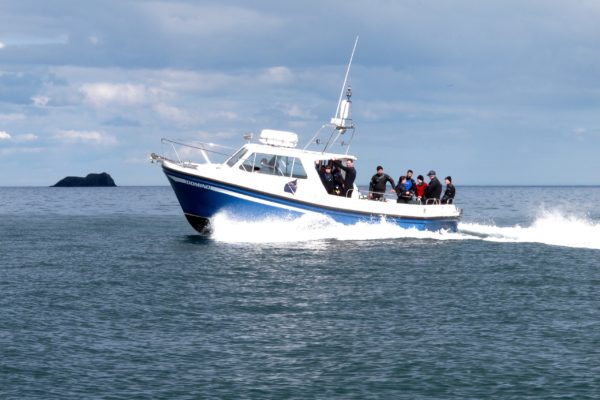 Divers on Domino Divers on Domino