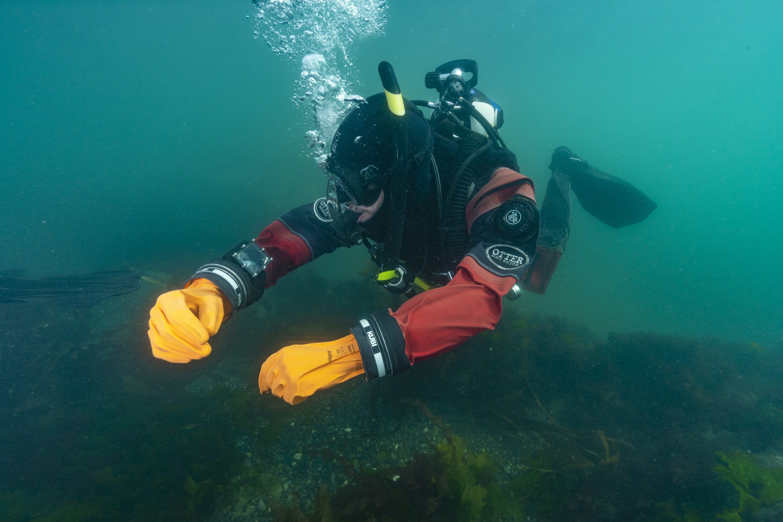 Diver in Natural Buoyancy