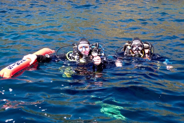 Divers surface from a Dive